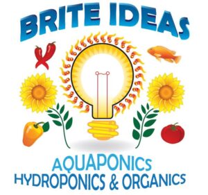 brite ideas hydroponics 1 300x281
